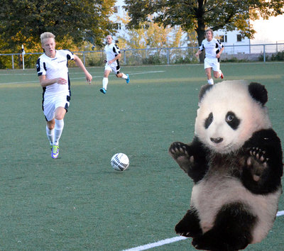 Panda angst fck1